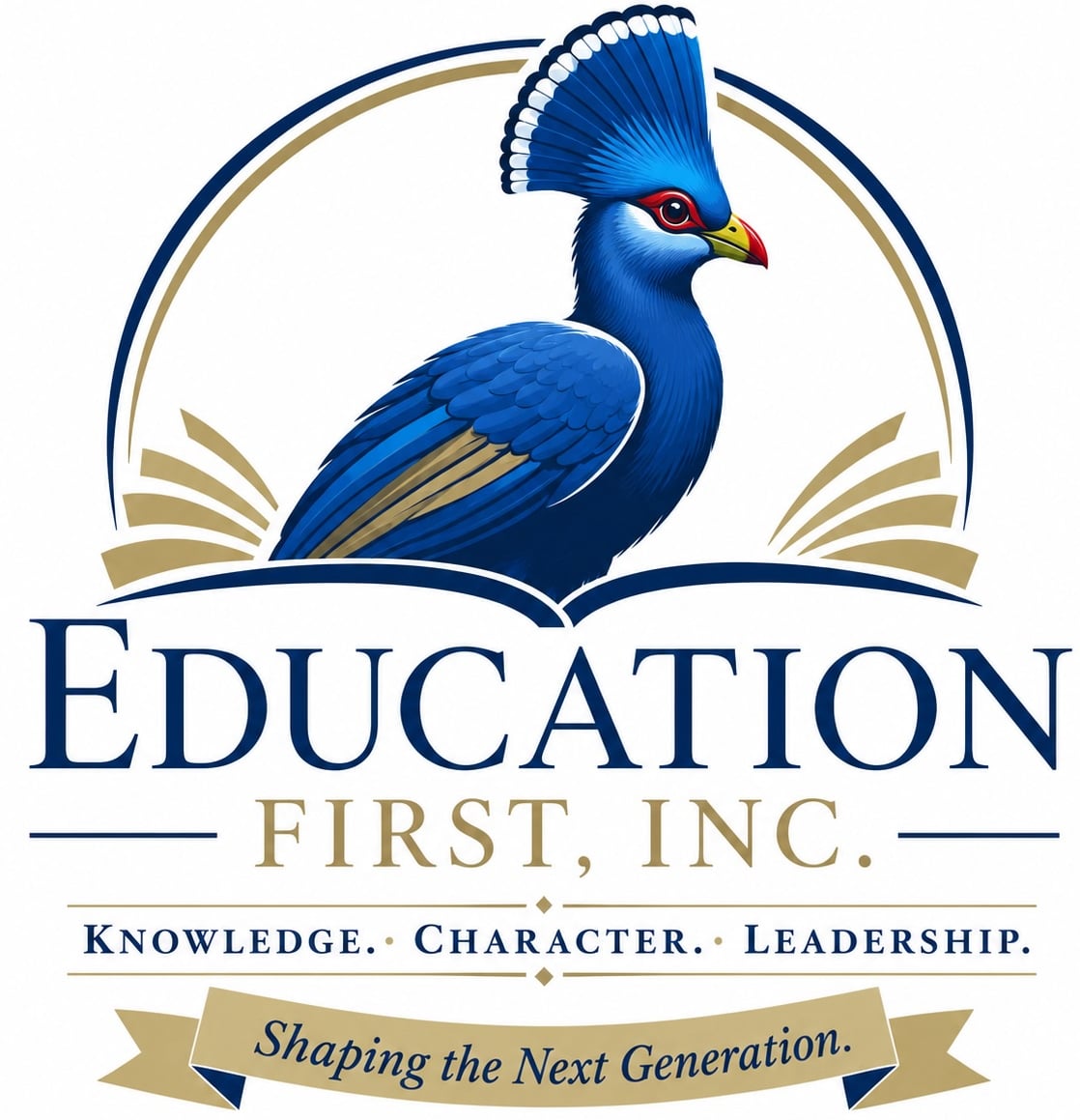 Education First Academy (EFA)